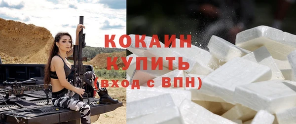 винт Абаза