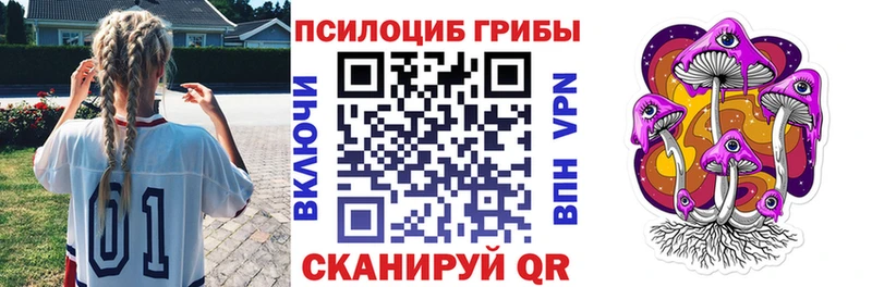 Псилоцибиновые грибы Psilocybine cubensis  Скопин 